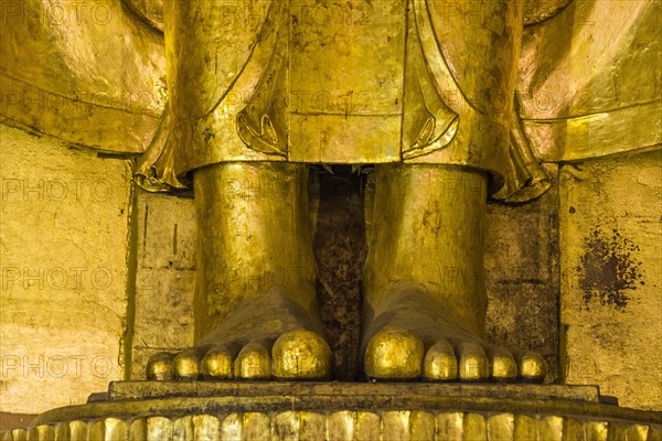 Feet