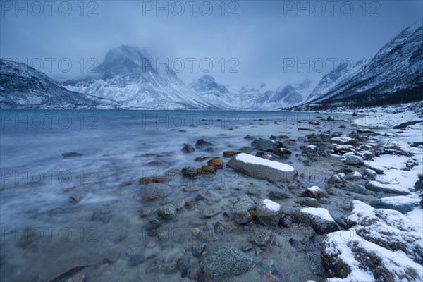 Winter landscape
