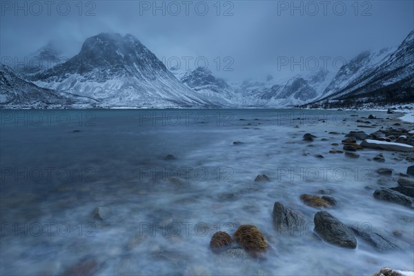 Winter landscape