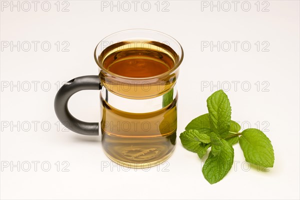Peppermint tea (Mentha x piperita)
