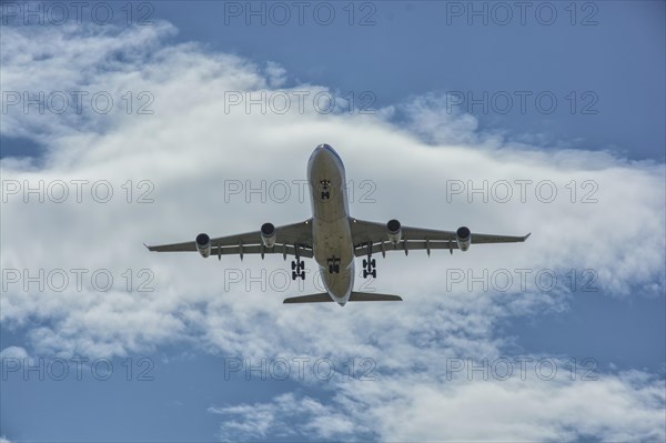 Landing Plane