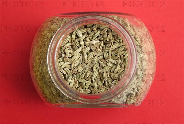 Fennel seed in glass (Foeniculum vulgare)