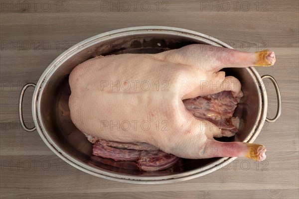 Prepared raw Christmas goose lying in the roaster