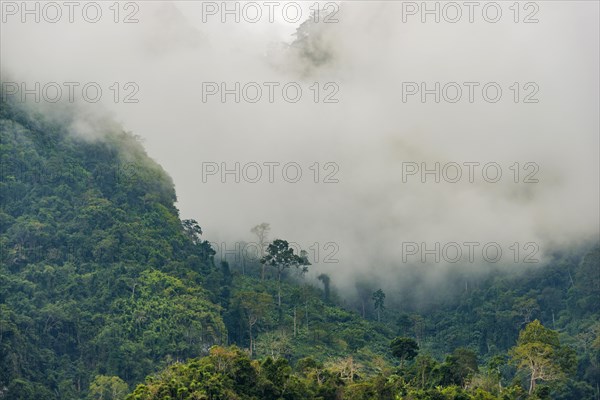 Karst mountains shrouded in clouds