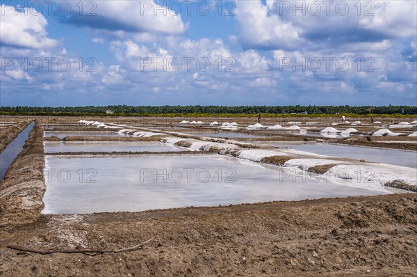 Water basin for salt extraction
