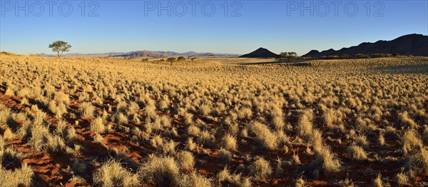 View over NamibRand Nature Reserve