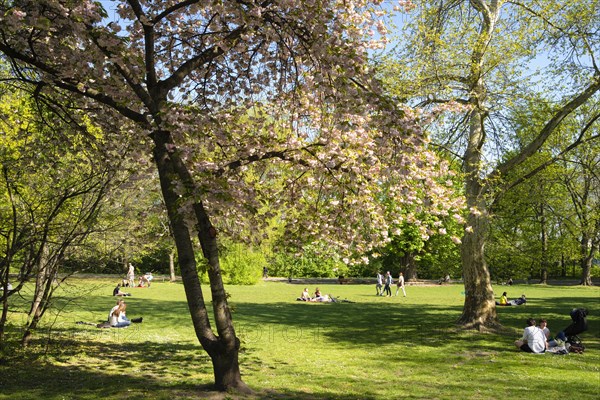 Park on Margaret Island