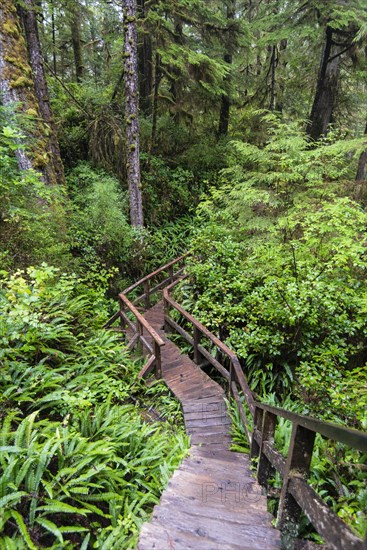 Boardwalk