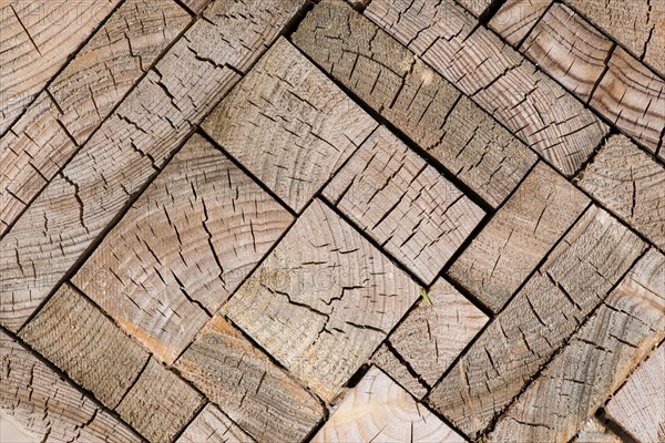 Blocks of oak (Quercus sp.) with annual rings