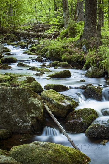 Stream
