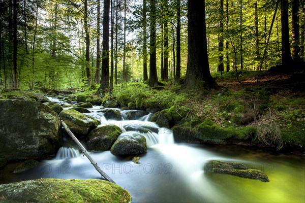 Stream