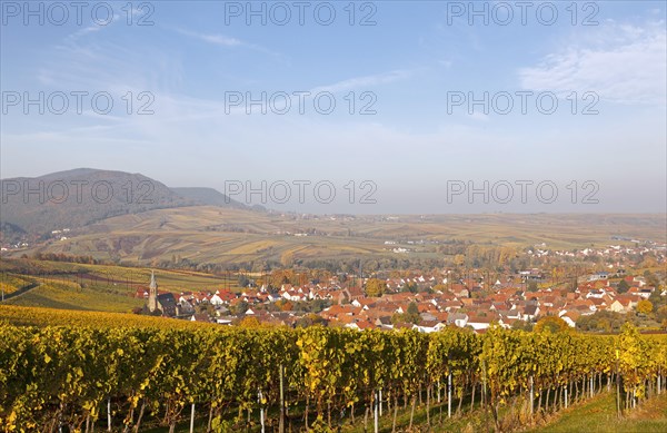 Townscape