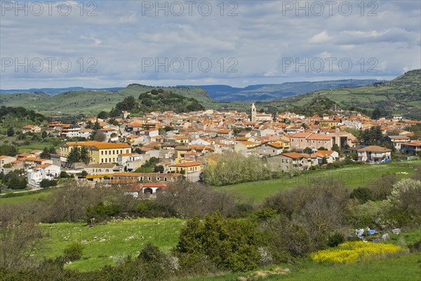 Padria
