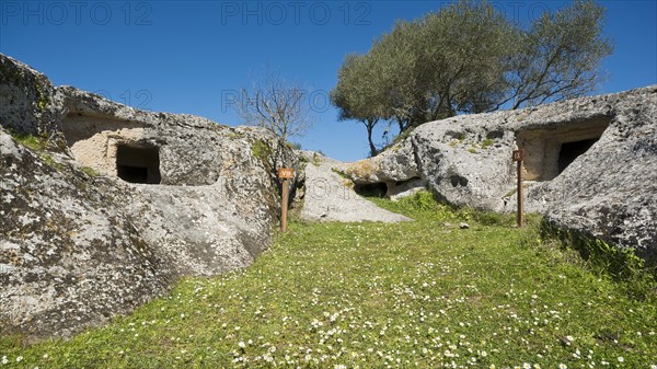 Rock cut tombs Domus de Janas