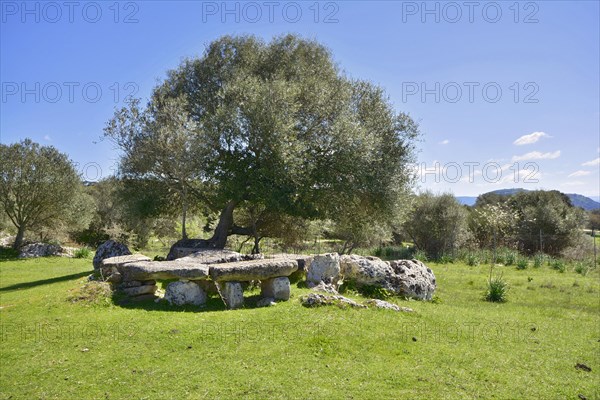 Rock cut tombs Domus de Janas