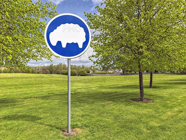 Grazing sheep sign on freshly mown meadow