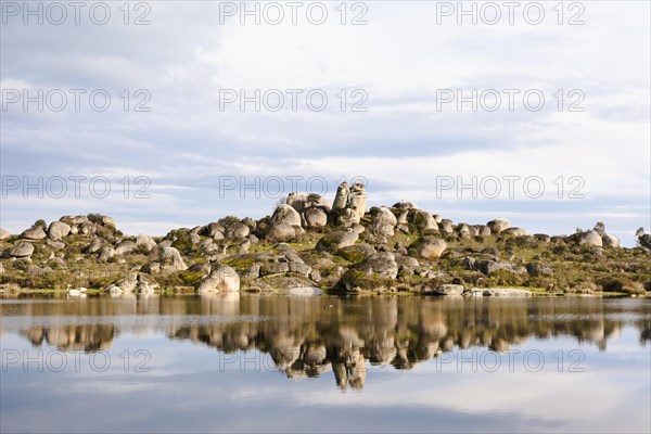 Granite rocks with White Stork (Ciconia ciconia) nests