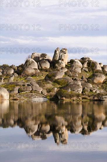Granite rocks with White Stork (Ciconia ciconia) nests