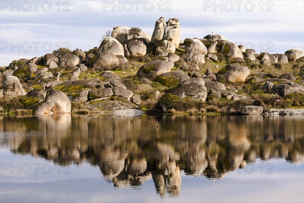 Granite rocks with White Stork (Ciconia ciconia) nests