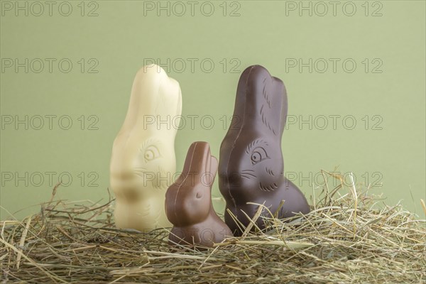 Chocolate easter bunnies