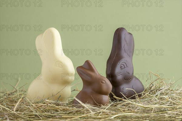 Chocolate easter bunnies