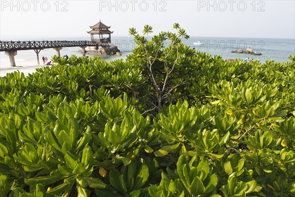 Pagoda on the beach