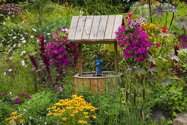 Overgrown garden with flowers and wishing well