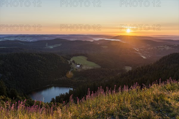 Sunrise