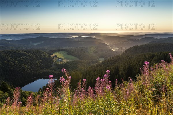 View east towards Feldsee from Feldberg