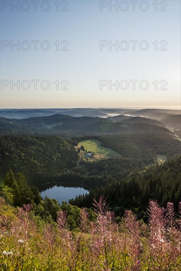 View east towards Feldsee from Feldberg