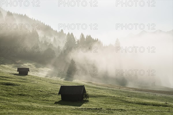 Sunrise and morning mist