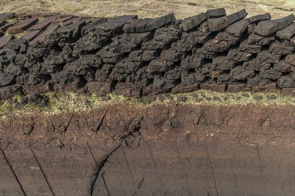 Cut peat on a peat bog