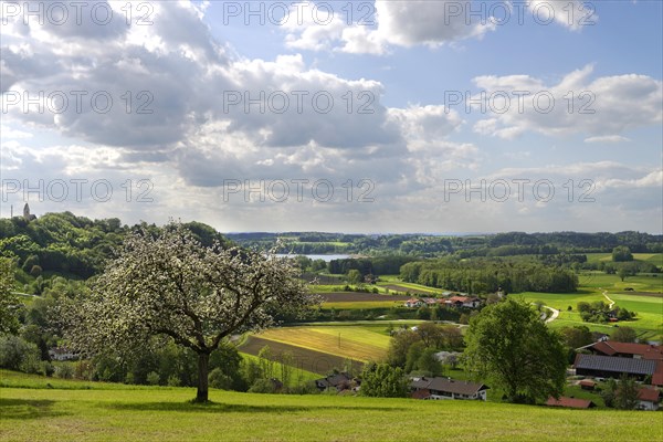 Simssee and Thalkirchen