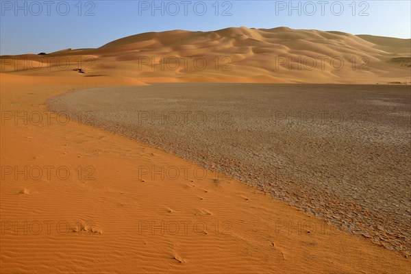 Sand dunes