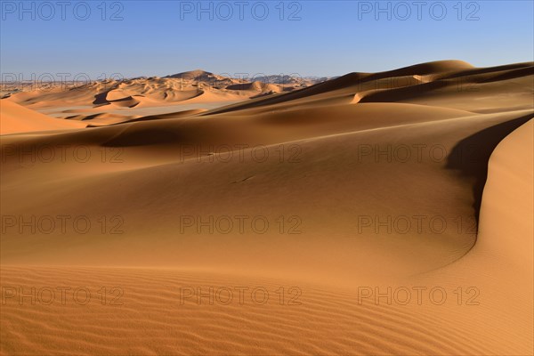 Sanddunes