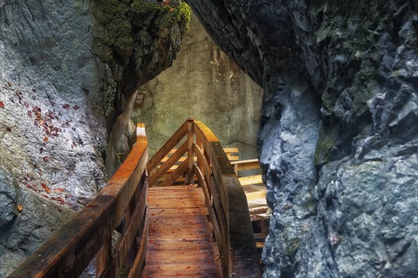 Boardwalk in the Seisenberg Gorge