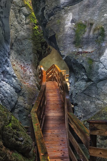 Boardwalk in the Seisenberg Gorge