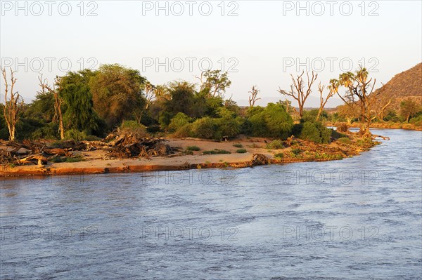 Uaso Nyiro river in the evening light