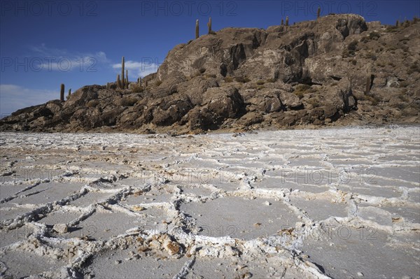 Isla Incahuasi in Salar de Uyuni salt flat