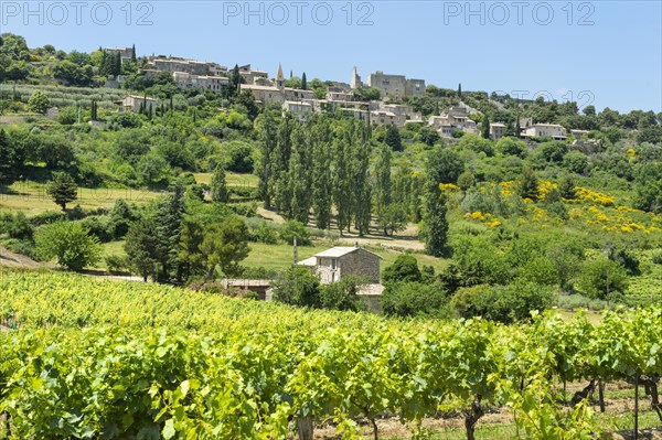 View of Le Crestet village
