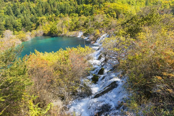 Sparkling Lake