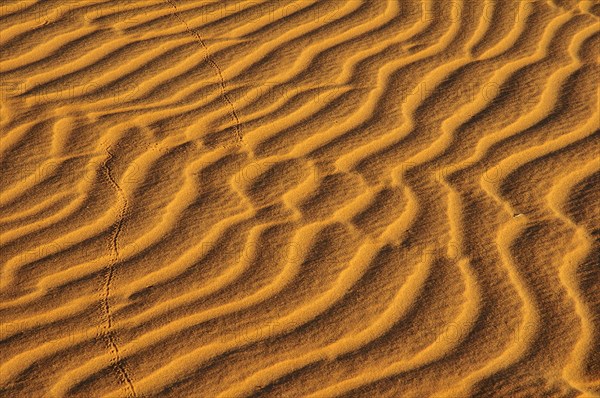 Sand ribs