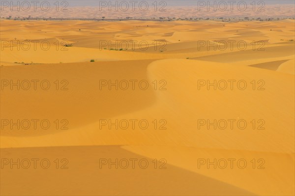 Desert landscape with sand dunes