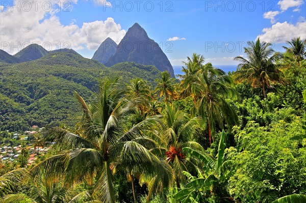 Tropical landscape with the two Pitons