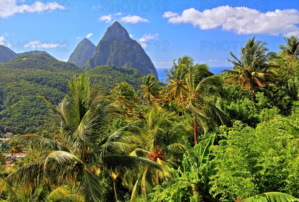 Tropical landscape with the two Pitons