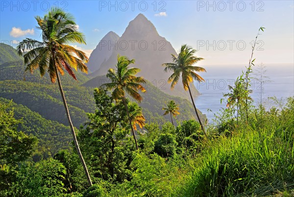 Tropical landscape with the two Pitons