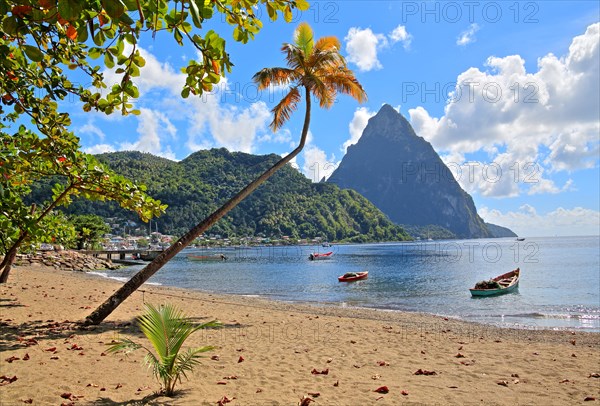 Beach with the Petit Piton 743m