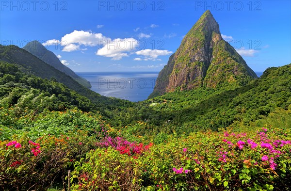 Landscape with the two Pitons