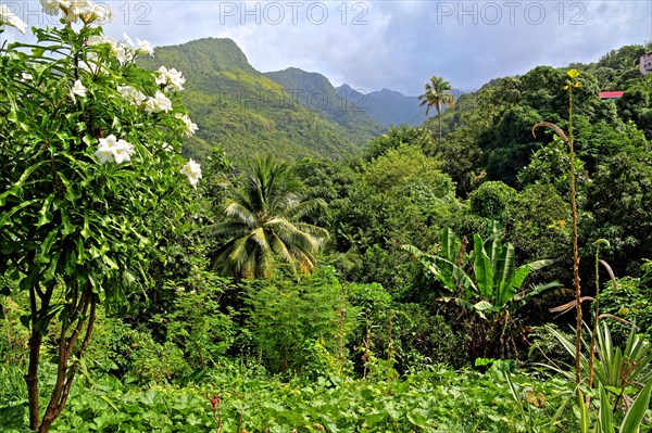 Tropical mountain scenery near the fishing village of Canaries