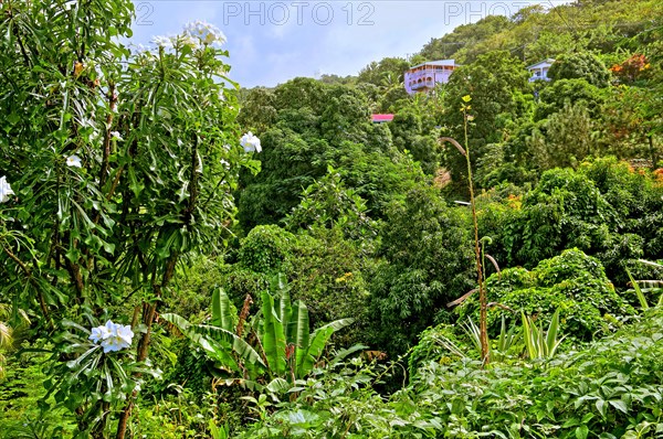 Tropical landscape near the fishing village of Canaries